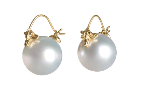 White South Sea, 18k Flyers