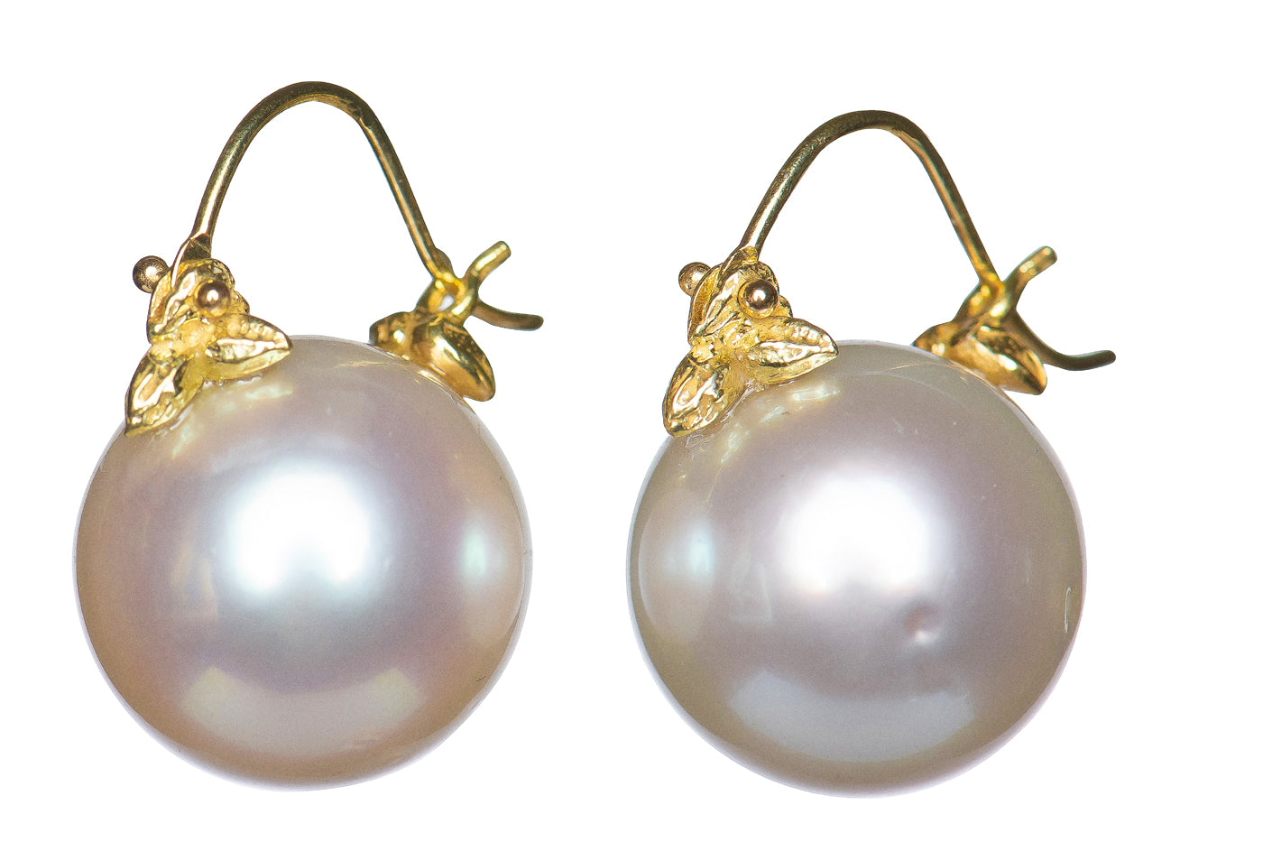 South Sea Pearl Flyers