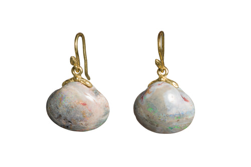 Opal Shell 18k Earrings